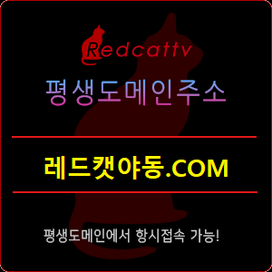 평생도메인